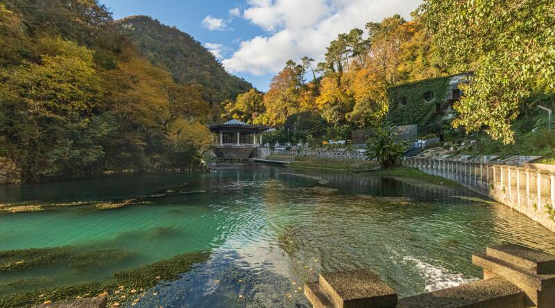 Абхазия: Гагры, Новый Афон, Рица, Лыхны. img-16022