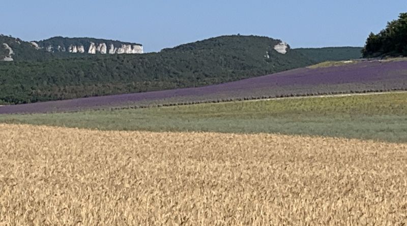 Крымский Прованс и великолепная лаванда img-13977